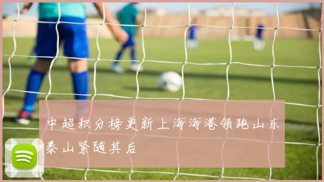 中超积分榜更新上海海港领跑山东泰山紧随其后