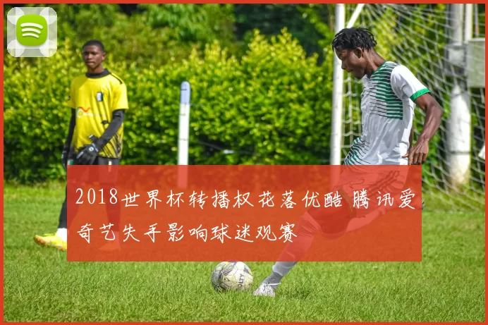 2018世界杯转播权花落优酷 腾讯爱奇艺失手影响球迷观赛